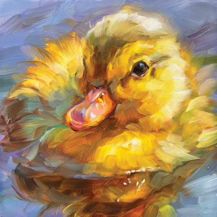 Duckling Study