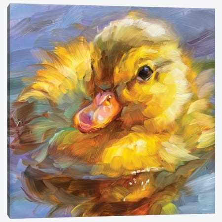 Duckling Study Canvas Print #HSR12} by Holly Storlie Canvas Artwork