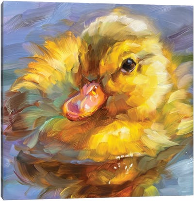 Duckling Study Canvas Art Print - Duck Art