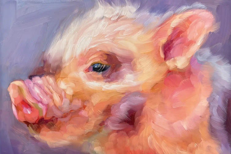 Pig Study II