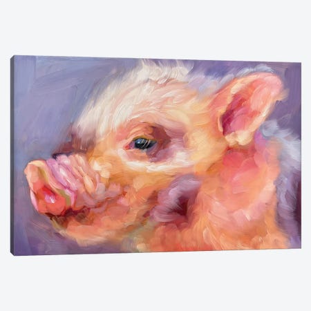 Pig Study II Canvas Print #HSR13} by Holly Storlie Canvas Wall Art