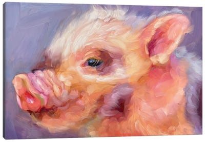 Pig Study II Canvas Art Print - Holly Storlie