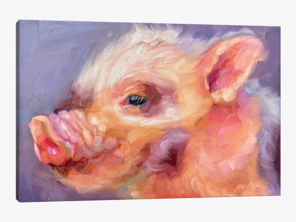 Pig Study II by Holly Storlie 1-piece Canvas Wall Art