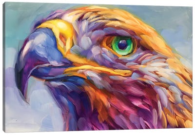 Hawk Study Canvas Art Print - Buzzard & Hawk Art