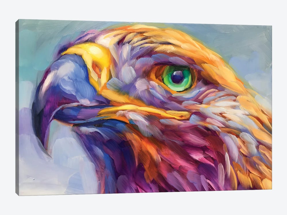 Hawk Study by Holly Storlie 1-piece Canvas Art Print