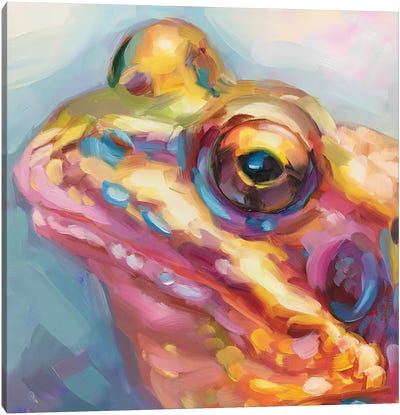 Frog Study IV Canvas Art Print - Frog Art