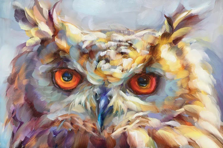 Owl Study XIV