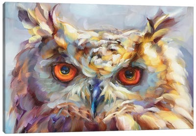 Owl Study XIV Canvas Art Print - Holly Storlie