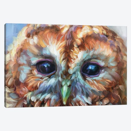 Owl Study XV Canvas Print #HSR17} by Holly Storlie Canvas Art Print