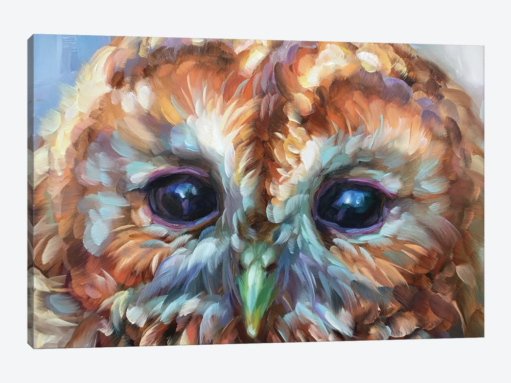 Owl Study XV by Holly Storlie 1-piece Canvas Artwork