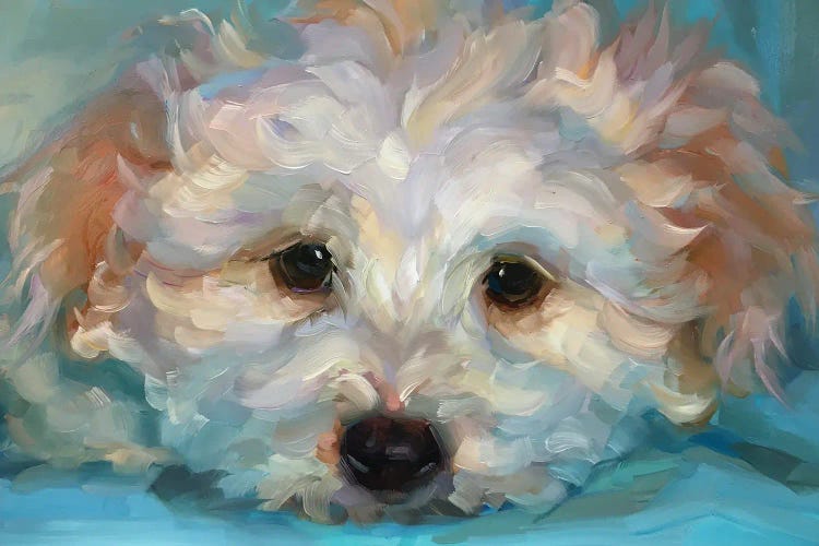 Dog Study