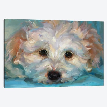 Dog Study Canvas Print #HSR18} by Holly Storlie Canvas Art