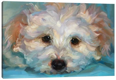 Dog Study Canvas Art Print - Holly Storlie