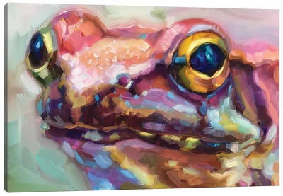 Frog Study II Canvas Art Print - Holly Storlie