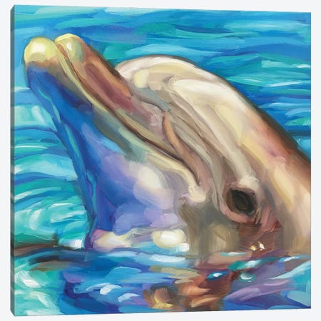 Dolphin Study Canvas Print #HSR1} by Holly Storlie Canvas Wall Art