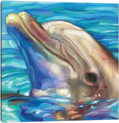 Dolphin Study Canvas Art Print - On Island Time