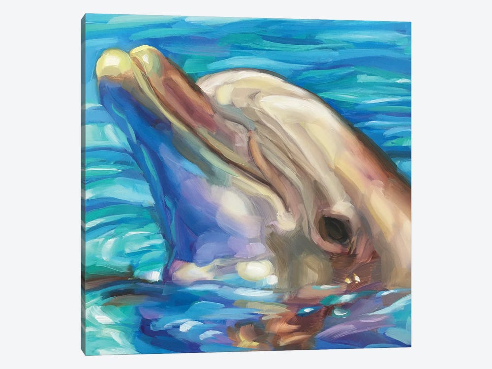 Dolphin Study by Holly Storlie 1-piece Canvas Wall Art