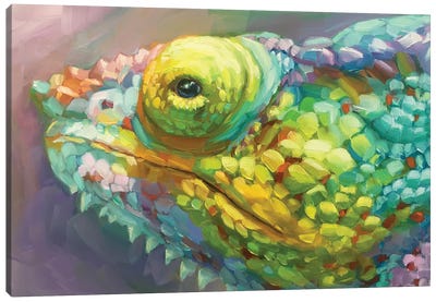 Chameleon Study Canvas Art Print - Chameleons