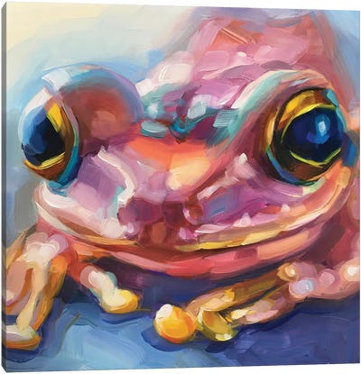 Mini Frog Study III Canvas Art Print - Frog Art