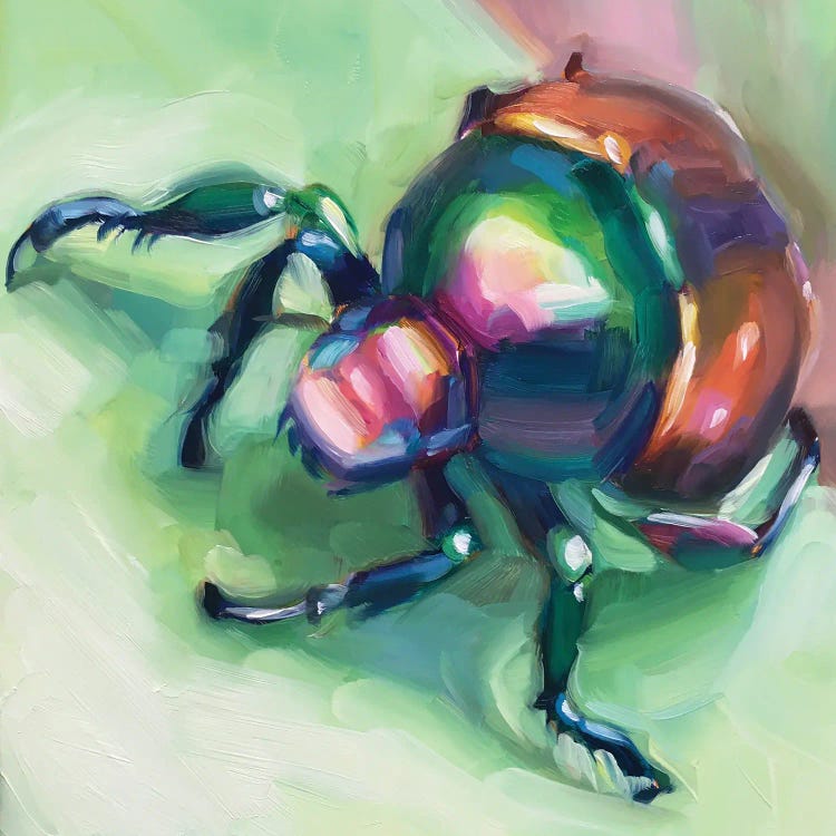 Beetle Study