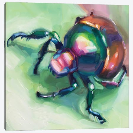 Beetle Study Canvas Print #HSR22} by Holly Storlie Art Print