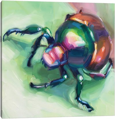 Beetle Study Canvas Art Print - Beetle Art