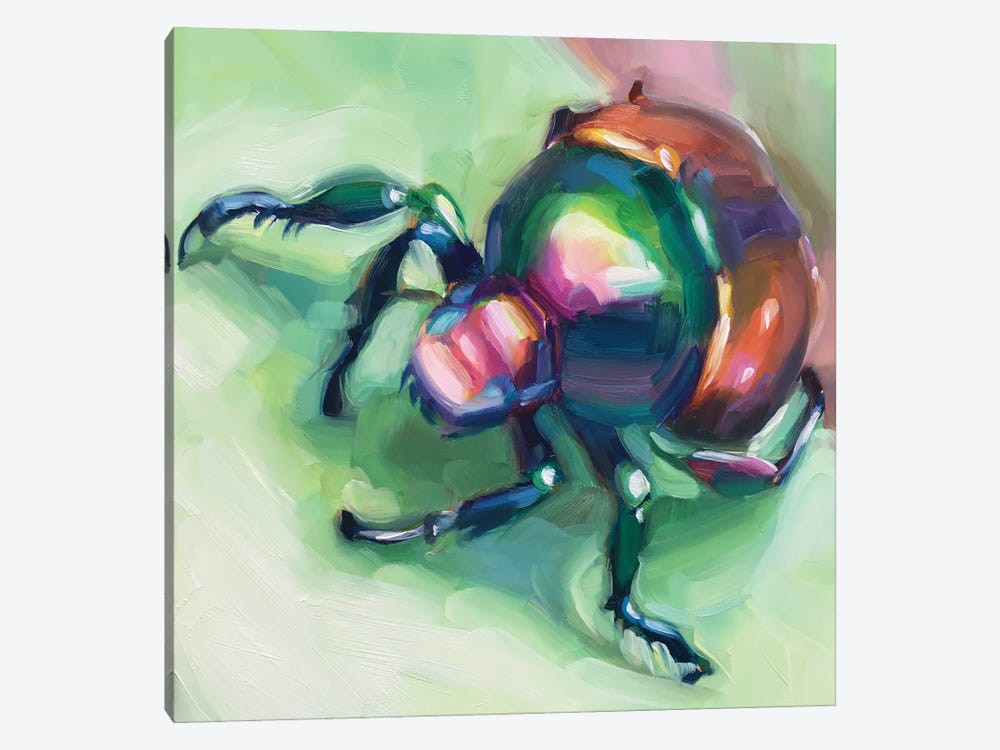 Beetle Study by Holly Storlie 1-piece Canvas Art