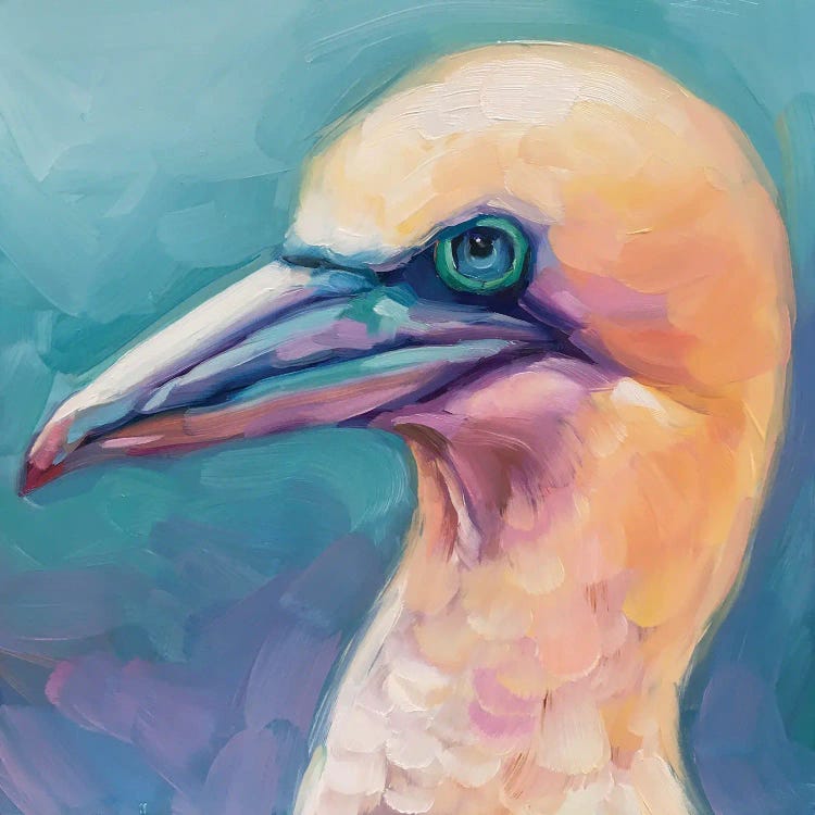 Bird Study VI