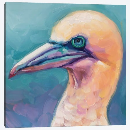 Bird Study VI Canvas Print #HSR23} by Holly Storlie Canvas Print