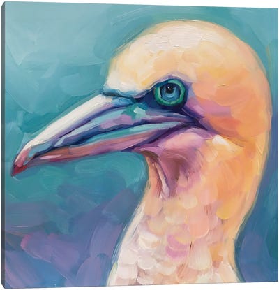 Bird Study VI Canvas Art Print - Holly Storlie