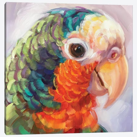 Mini Parrot Study VII Canvas Print #HSR24} by Holly Storlie Canvas Wall Art
