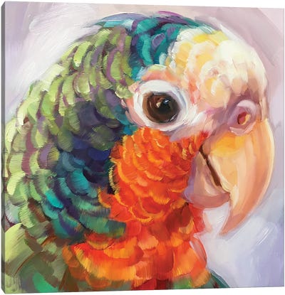 Mini Parrot Study VII Canvas Art Print - Holly Storlie
