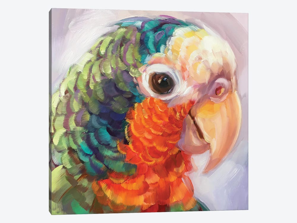 Mini Parrot Study VII by Holly Storlie 1-piece Canvas Wall Art