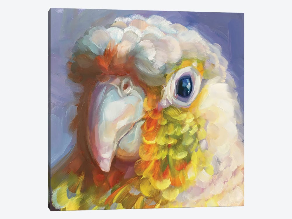 Mini Parrot Study VIII by Holly Storlie 1-piece Canvas Print