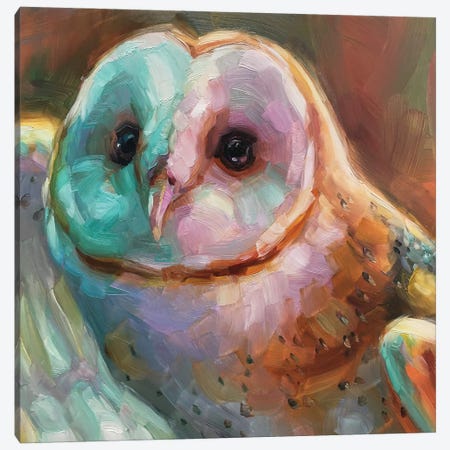 Owl Study V Canvas Print #HSR26} by Holly Storlie Canvas Art
