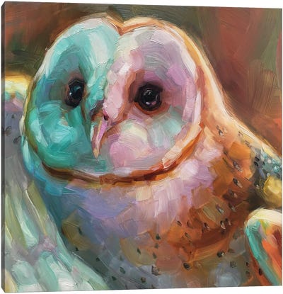 Owl Study V Canvas Art Print - Holly Storlie