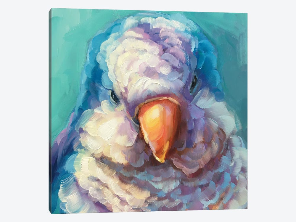 Mini Parrot Study  II by Holly Storlie 1-piece Canvas Print