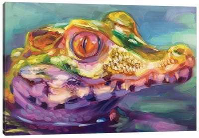 Baby Crocodile Study Canvas Art Print - Crocodile & Alligator Art