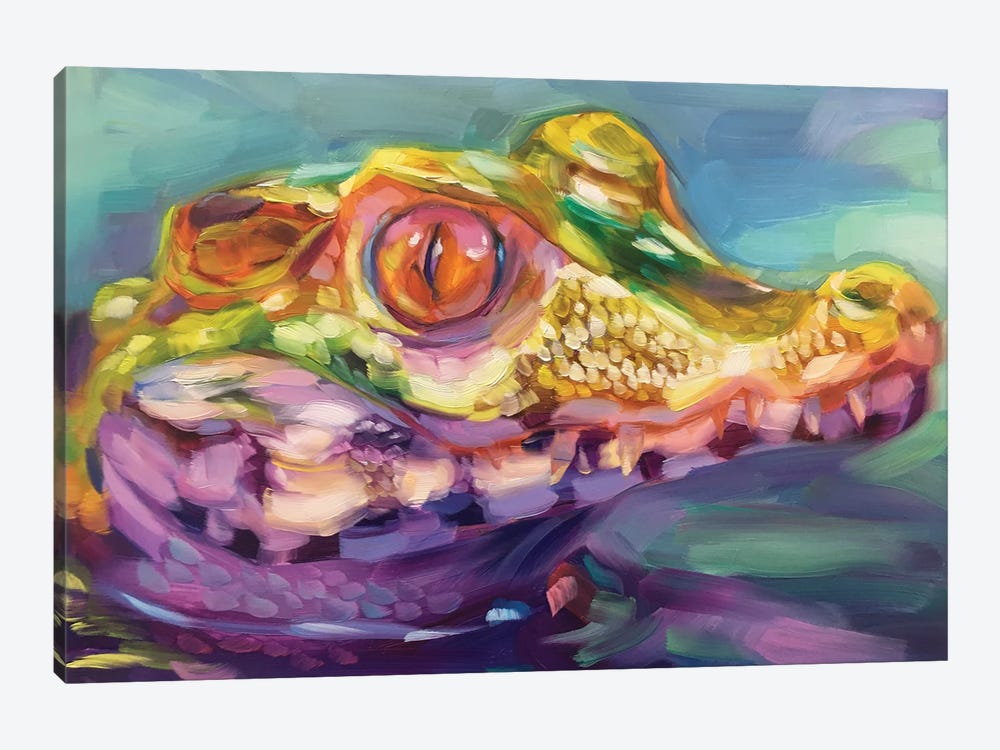 Baby Crocodile Study by Holly Storlie 1-piece Canvas Wall Art
