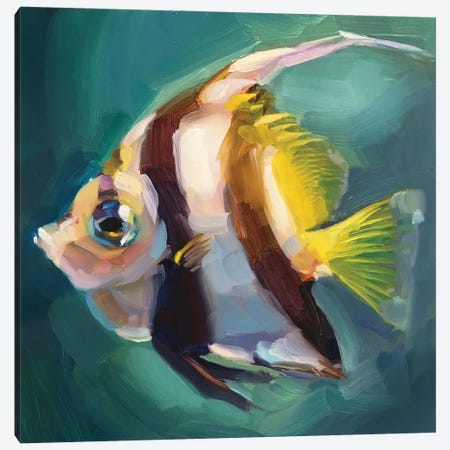 Bannerfish Study Canvas Print #HSR29} by Holly Storlie Art Print
