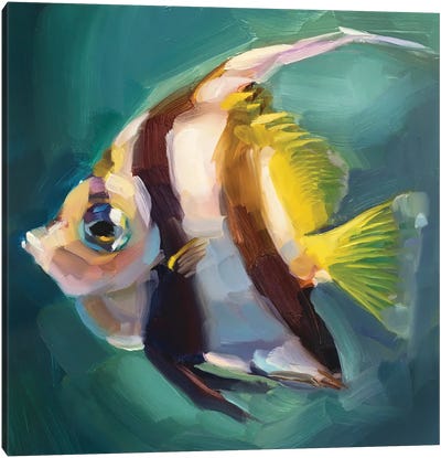 Bannerfish Study Canvas Art Print - Holly Storlie