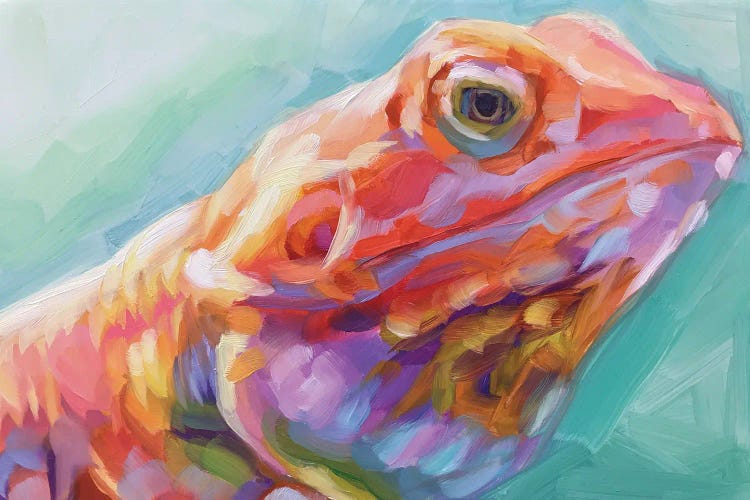 Lizard Study