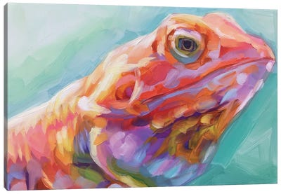 Lizard Study Canvas Art Print - Lizard Art
