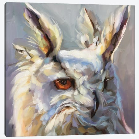 Owl Study II Canvas Print #HSR30} by Holly Storlie Canvas Artwork