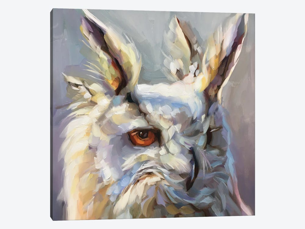 Owl Study II by Holly Storlie 1-piece Canvas Art Print