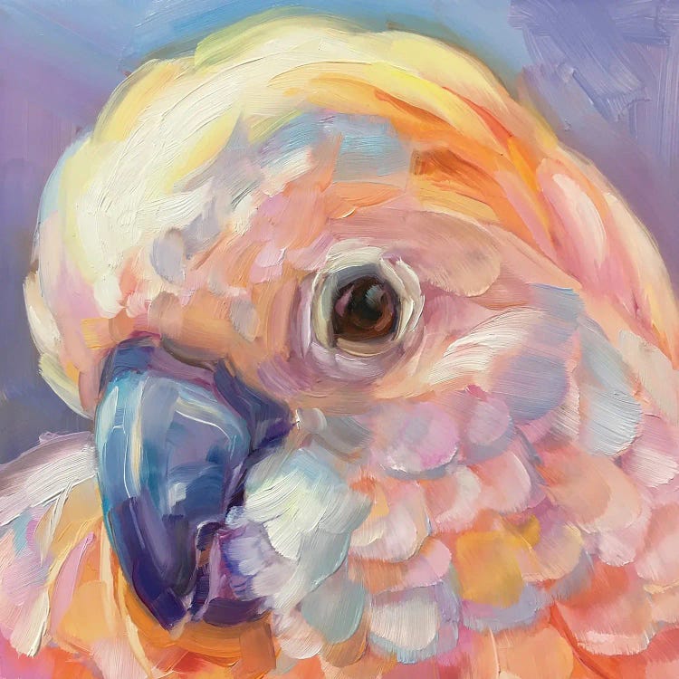 Mini Parrot Study IX