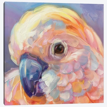 Mini Parrot Study IX Canvas Print #HSR37} by Holly Storlie Canvas Print
