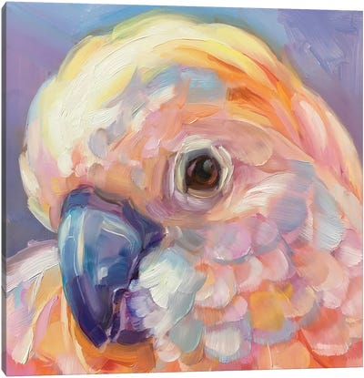 Mini Parrot Study IX Canvas Art Print - Holly Storlie