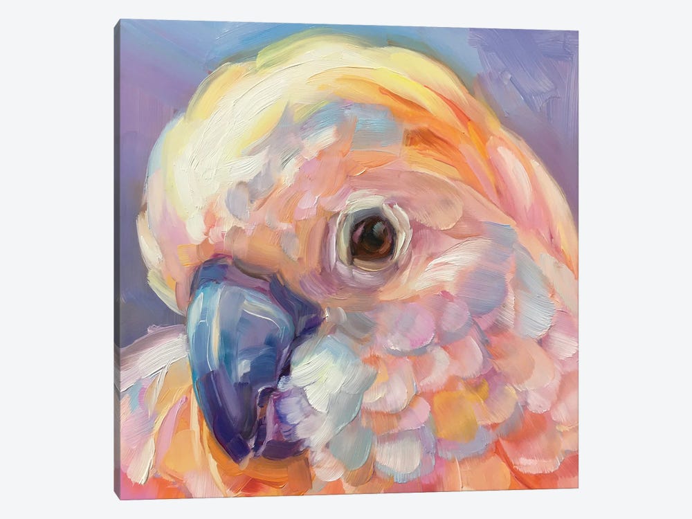 Mini Parrot Study IX by Holly Storlie 1-piece Canvas Artwork