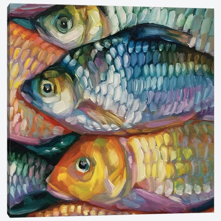 Fish Study XXXVI Canvas Print #HSR39} by Holly Storlie Canvas Art